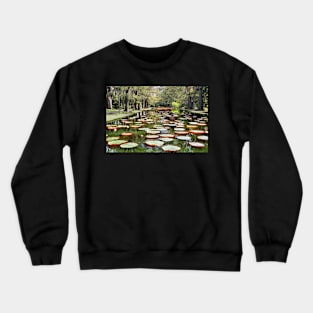 Amazon Water Lilies Crewneck Sweatshirt